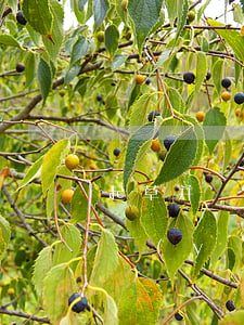 起草并購(gòu)交易合同時(shí)，應(yīng)注意哪些賠償條款要點(diǎn)？